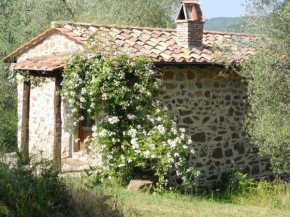 Casa Olivi